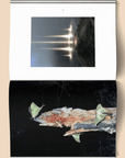 Livre Female Pentimento: Inner Nature Broccoli - Ex - voto