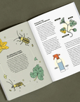 Livre Le Petit Guide illustré du Melon de Montréal - Nutritioniste Urbain - Ex - voto