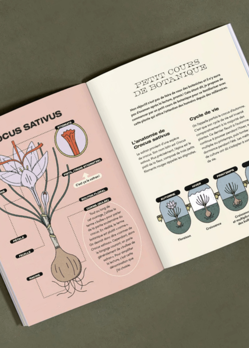 Livre Le Petit Guide illustré du Safran - Nutritioniste Urbain - Ex - voto