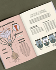 Livre Le Petit Guide illustré du Safran - Nutritioniste Urbain - Ex - voto