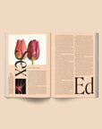 Magazine Broccoli 04 - Ex - voto