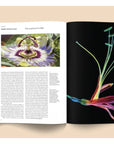 Magazine Broccoli 06 - Ex - voto