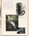 Magazine Broccoli 20 - Ex - voto