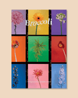 Magazine Broccoli 20 - Ex - voto