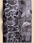Magazine Calling All Horse Girls Vol. 7: Dirty Broccoli - Ex - voto