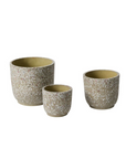 Cache-Pot Verde 5.5 x 5 AD