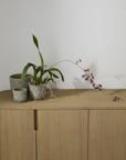 Cache-Pot Verde 7 x 6.5 AD