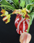 Vase Rhombic Rouge &Klevering