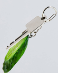 Oishy Cucumber Keychain