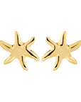 Petites Boucles d'oreilles Prism Pilgrim (Or ou Argent) - Ex - voto