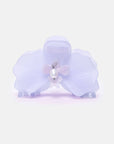 Pince Orchidée Angelite Chunks - Ex-voto