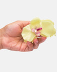 Pince Orchidée Citrine Chunks - Ex-voto