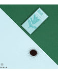 Semences de Fines Herbes Piccolo Seeds (15 semences disponibles) - Ex - voto