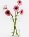 Vase Corps Verre DOIY - Ex - voto