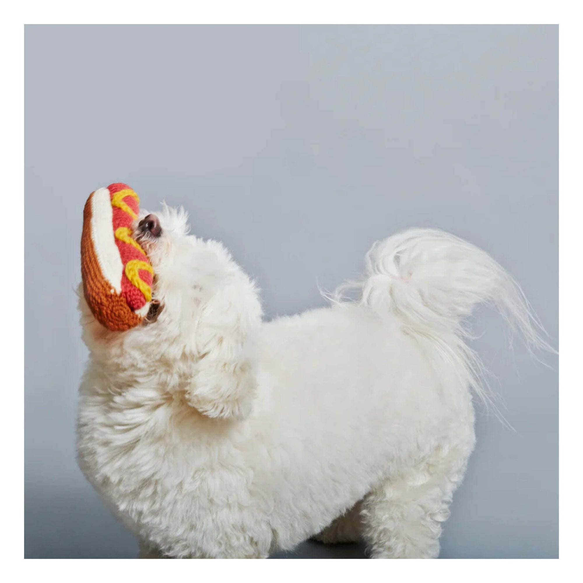 WARE OF THE DOG - Ex-voto
