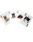 Kikkerland Cats 3D Playing Cards