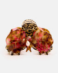 Pince Orchid Cougar Chunks