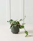 AD Carmen 4.5 x 4.5 Dark Green Plant Pot 