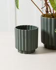 AD Dark Green 5.5 x 6 Carmen Plant Pot