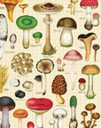 Cavallini Mushrooms Puzzle