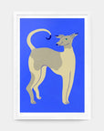 Affiche Young Dog on Blue A3 Evermade