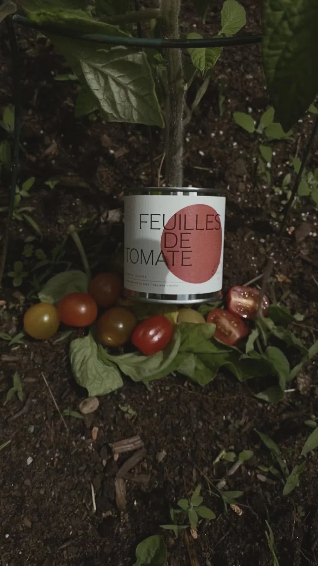 Bougie Feuille de Tomate 8oz Dimanche Matin