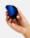 Pince Papillon Swallowtail Chunks