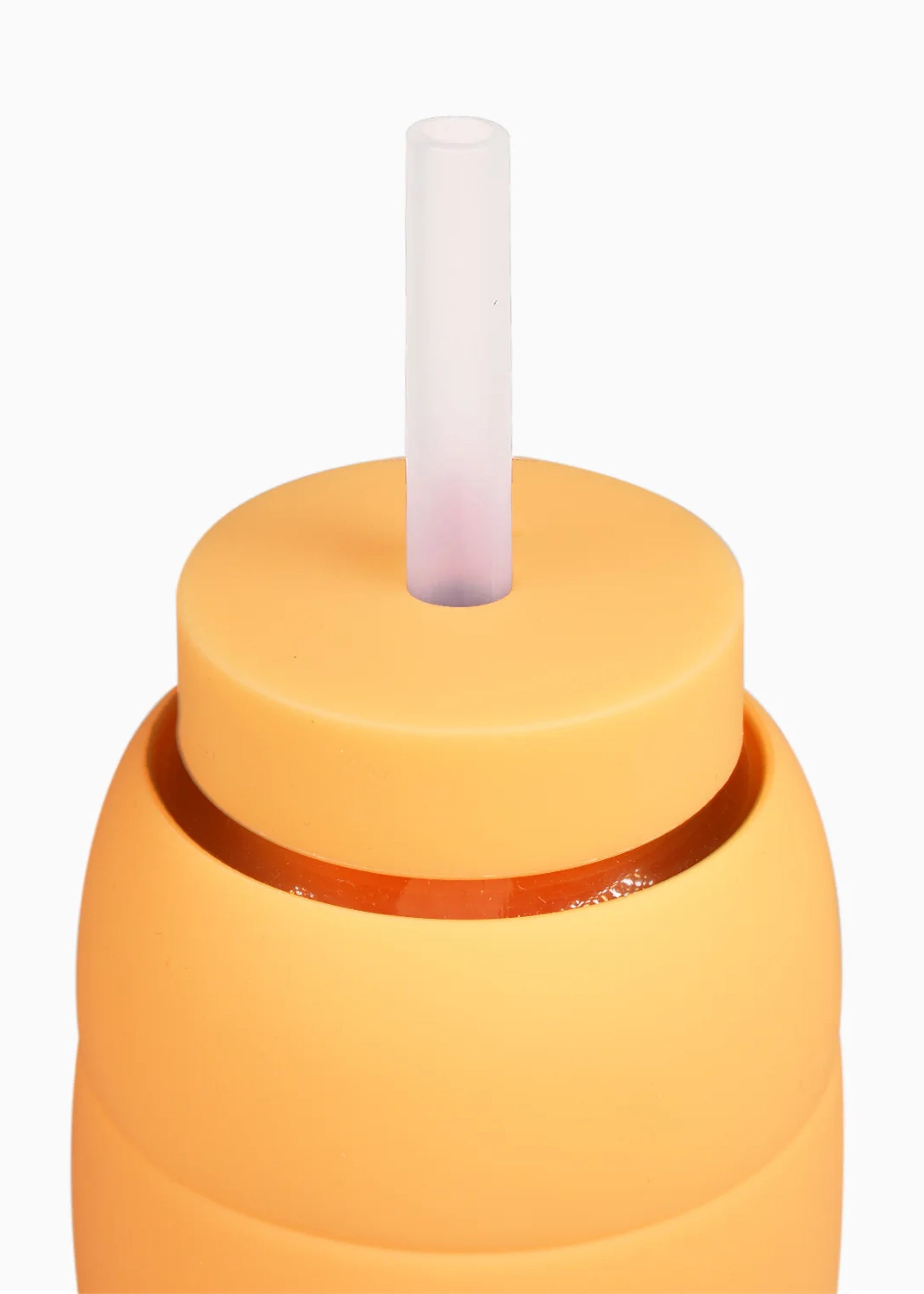 Bink Lounge Straw &amp; Cap