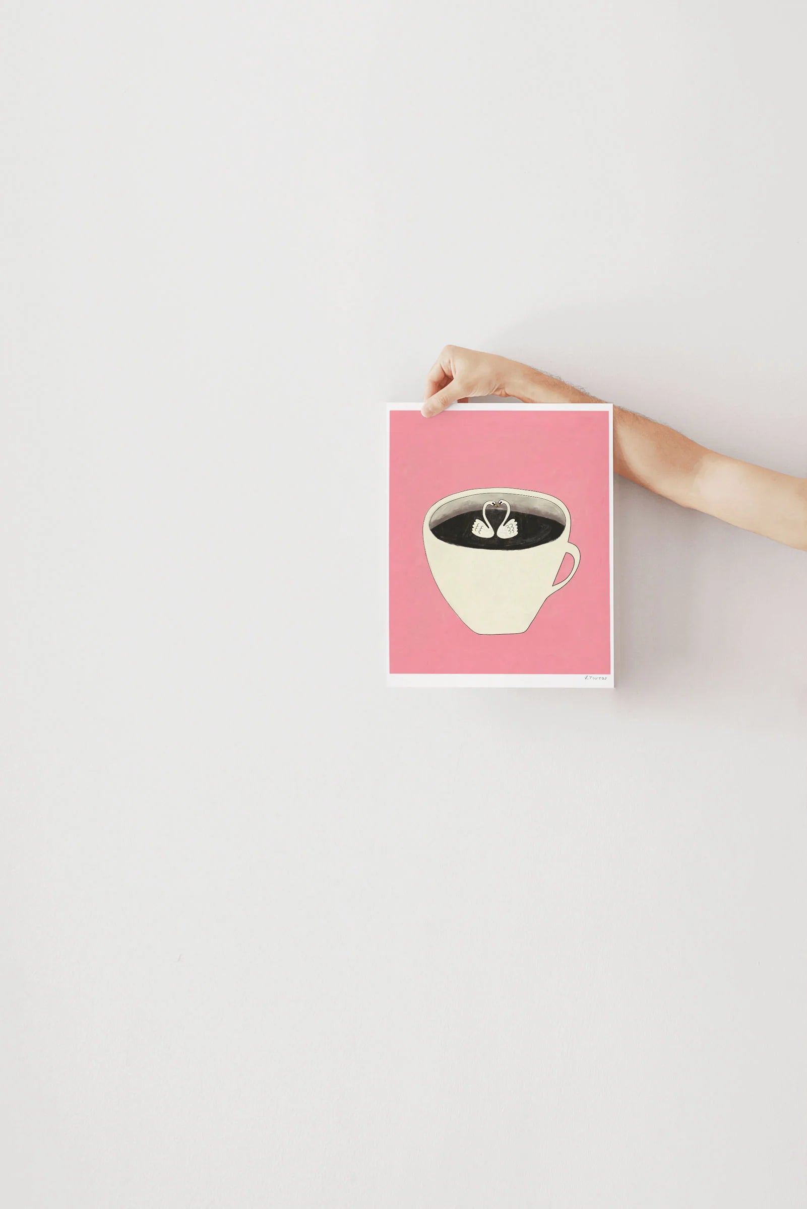 Affiche Bouquet Cygnes Espresso TOUTE
