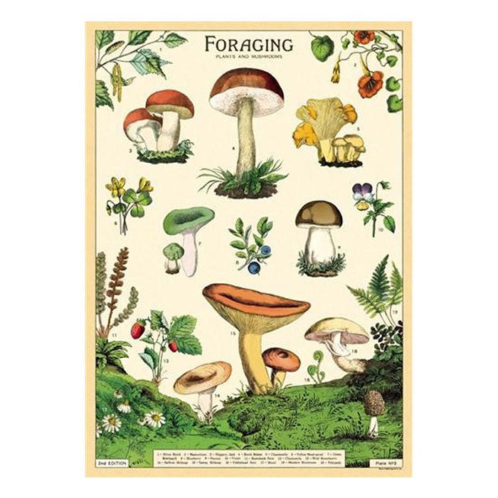 Affiche Cavallini Forage - Ex - voto