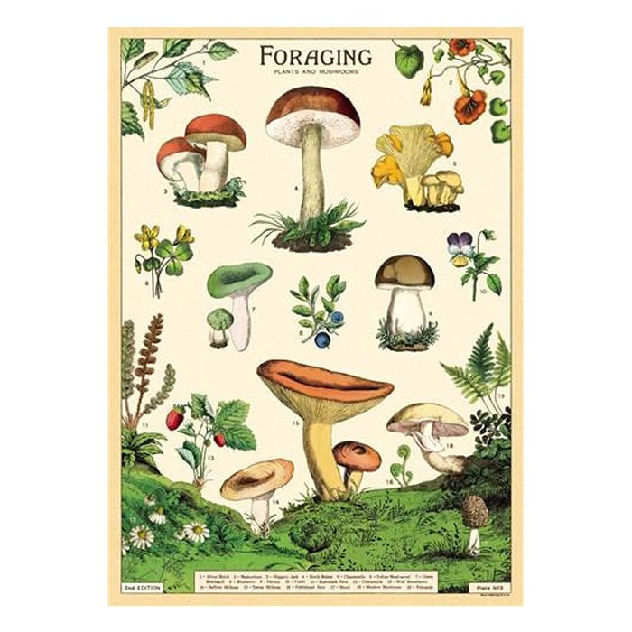 Affiche Cavallini Forage - Ex - voto