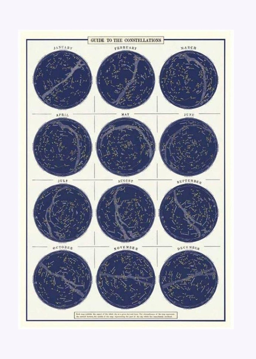 Affiche Cavallini Guide Constellations - Ex - voto