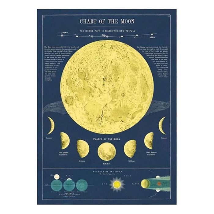 Affiche Cavallini Moon Chart - Ex - voto