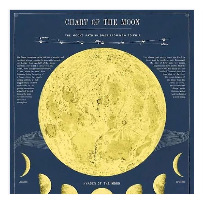 Affiche Cavallini Moon Chart - Ex - voto