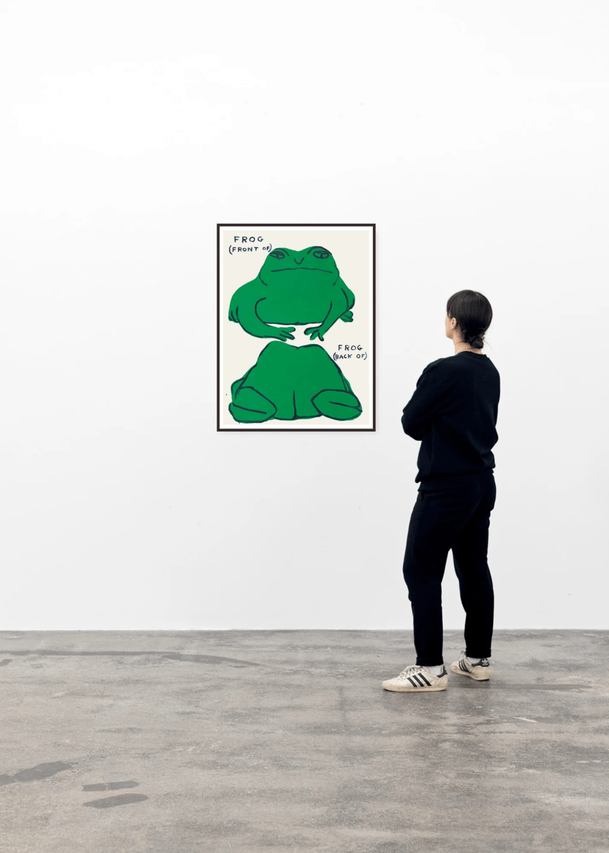 Affiche Frog (Front Of), Frog (Back Of) 60 x 80 cm D.Shrigley - Ex - voto