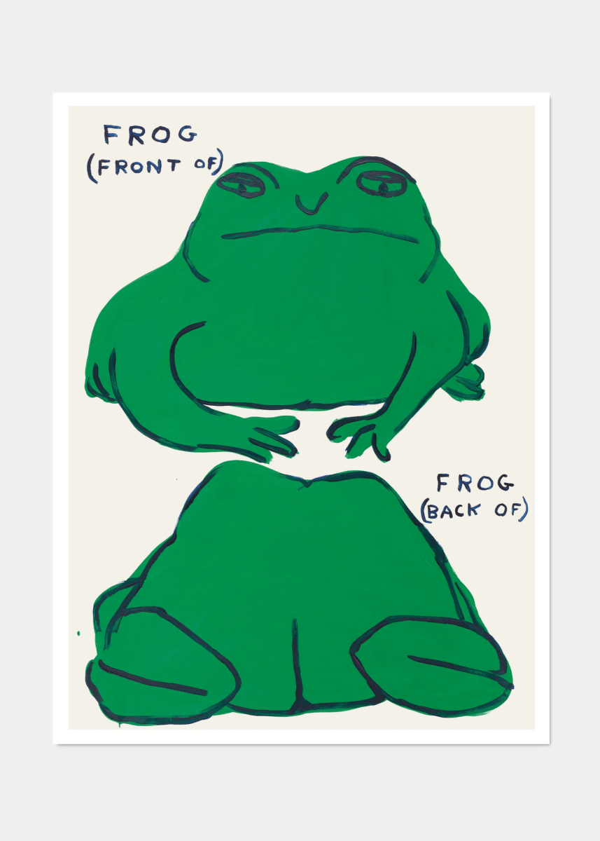 Affiche Frog (Front Of), Frog (Back Of) 60 x 80 cm D.Shrigley - Ex - voto