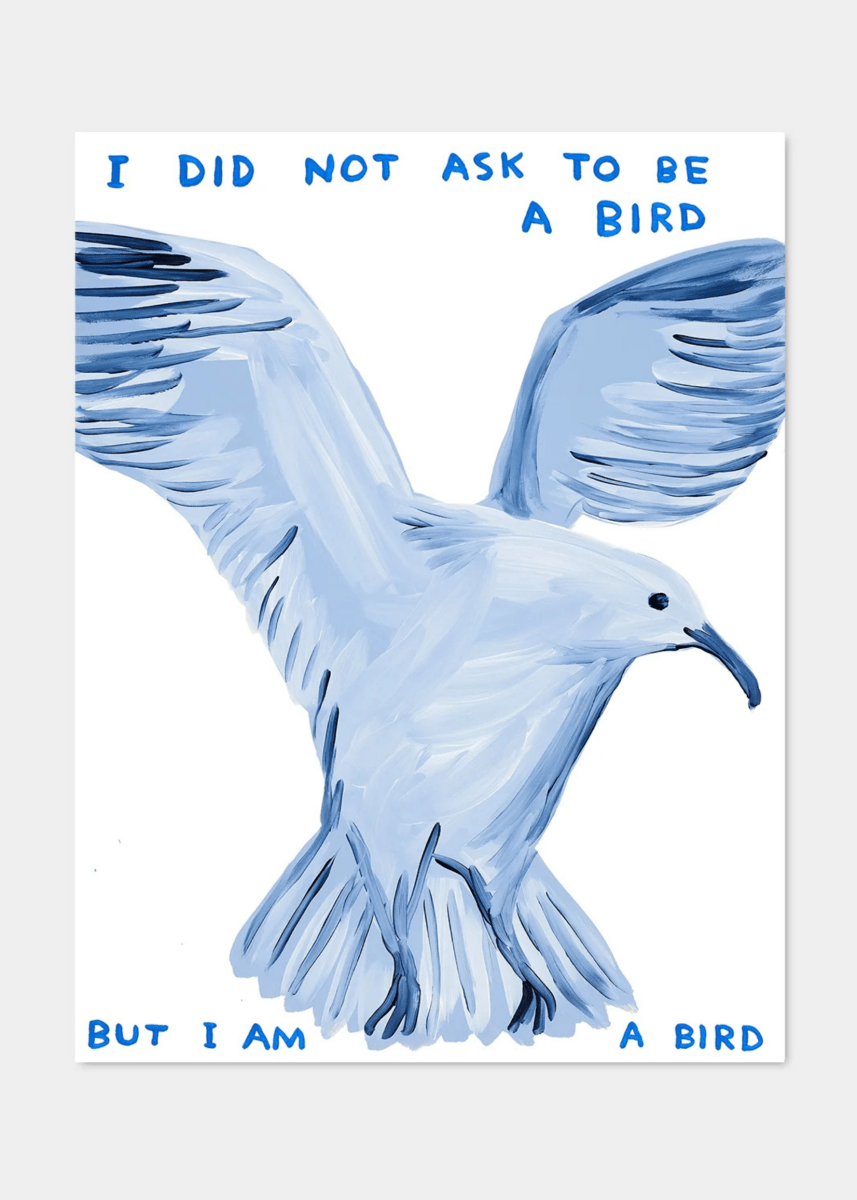Affiche I Did Not Ask To Be a Bird 60 x 80 cm D.Shrigley - Ex - voto