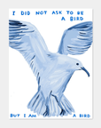 Affiche I Did Not Ask To Be a Bird 60 x 80 cm D.Shrigley - Ex - voto