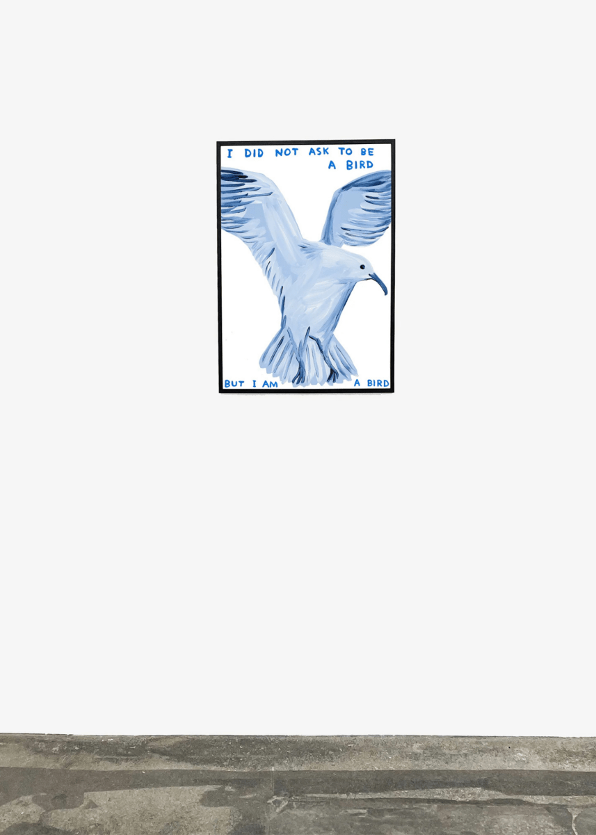 Affiche I Did Not Ask To Be a Bird 60 x 80 cm D.Shrigley - Ex - voto