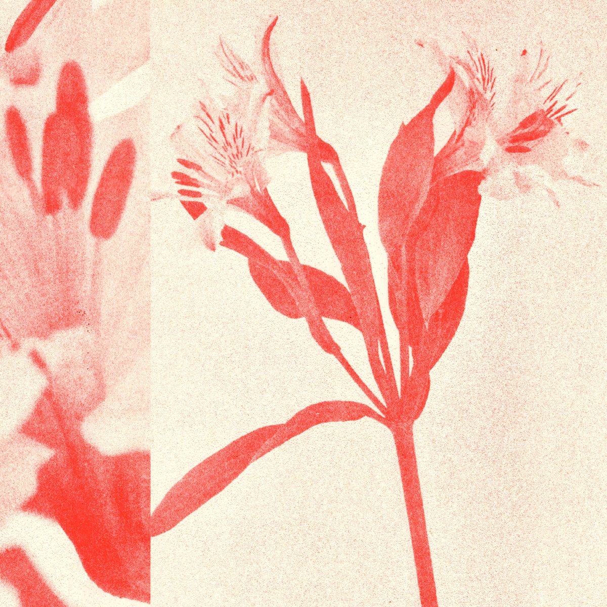 Affiche Riso 11 x 17 Red Flower Sunroom - Ex-voto