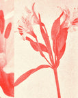 Affiche Riso 11 x 17 Red Flower Sunroom - Ex-voto