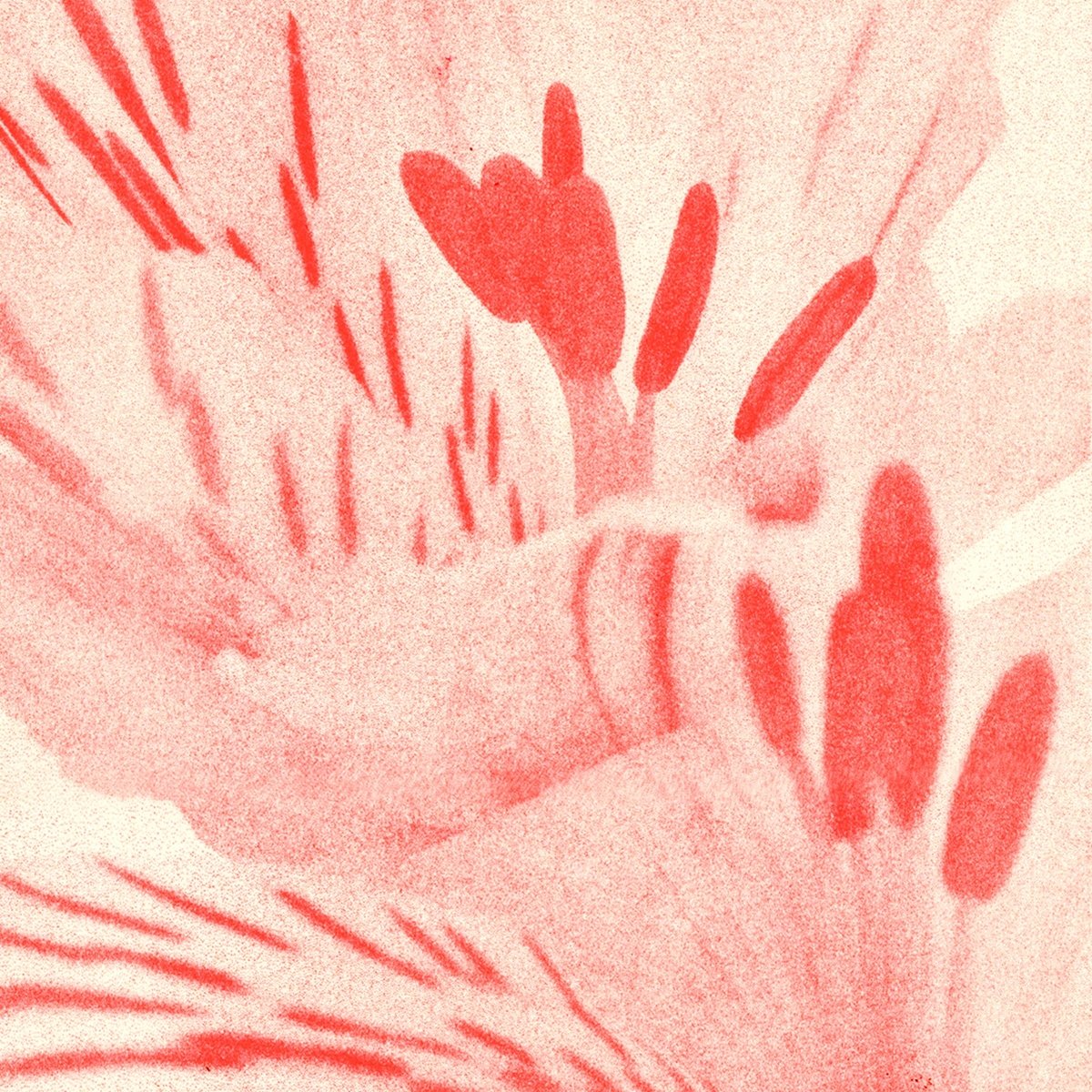 Affiche Riso 11 x 17 Red Flower Sunroom - Ex-voto
