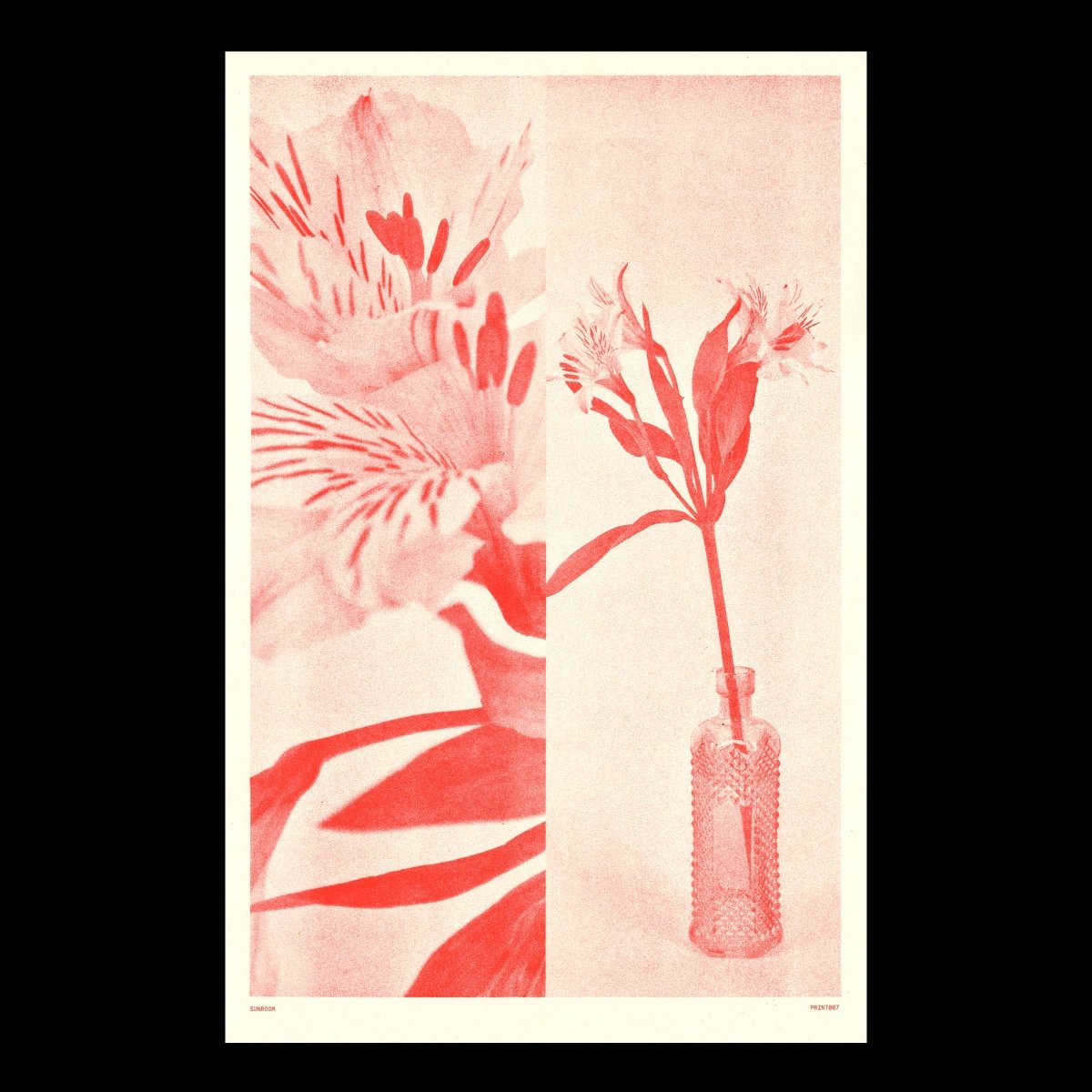 Affiche Riso 11 x 17 Red Flower Sunroom - Ex-voto