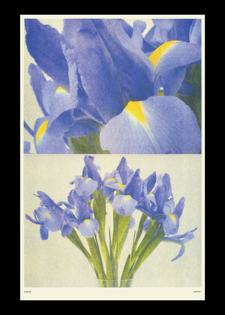 Affiche Riso 11 x 17 Sunroom Iris - Ex - voto