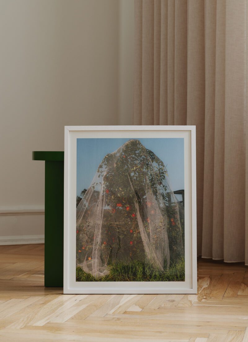 Affiche TPC Apple Tree 40 x 50cm Lee Burnett - Ex - voto