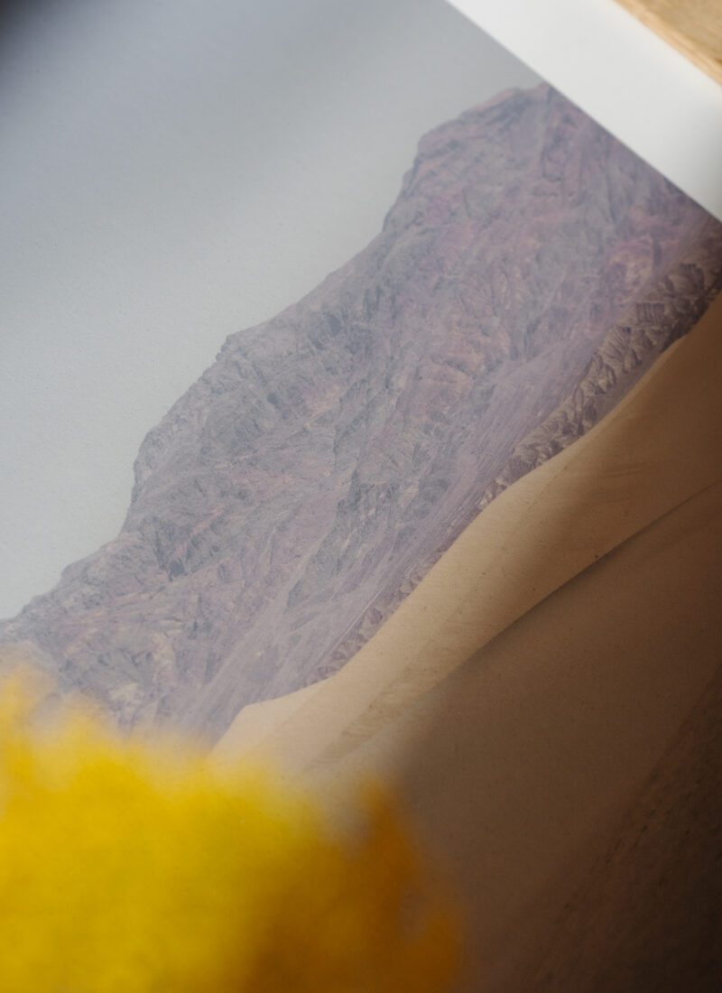 Affiche TPC Desert Mirage 30 x 40cm Nicole Mason - Ex - voto