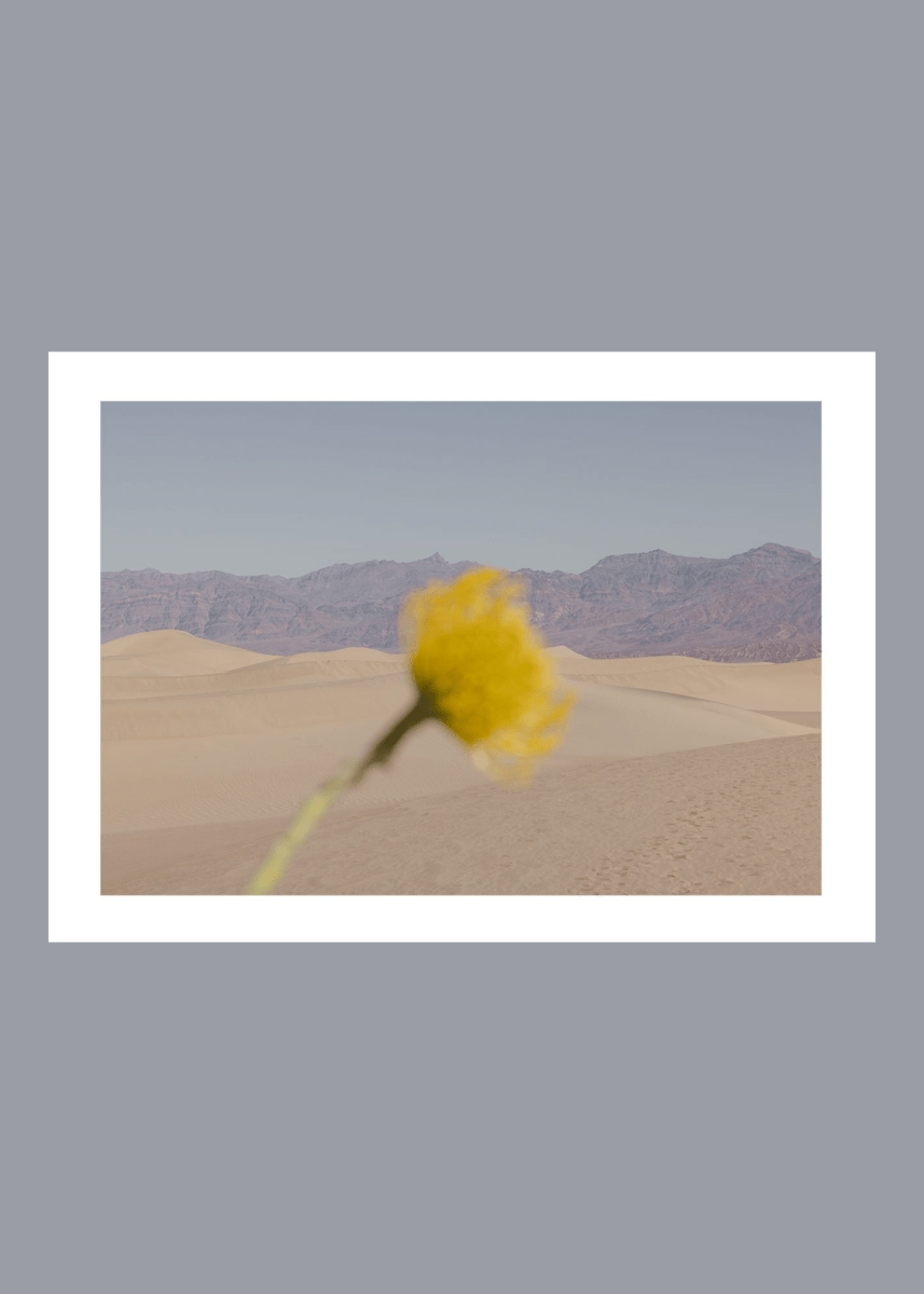 Affiche TPC Desert Mirage 30 x 40cm Nicole Mason - Ex - voto