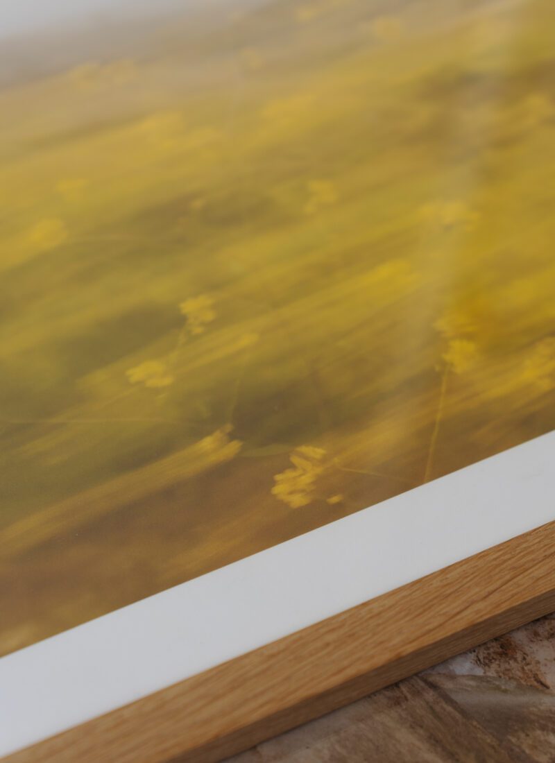 Affiche TPC Golden 30 x 40cm Nicole Mason - Ex - voto
