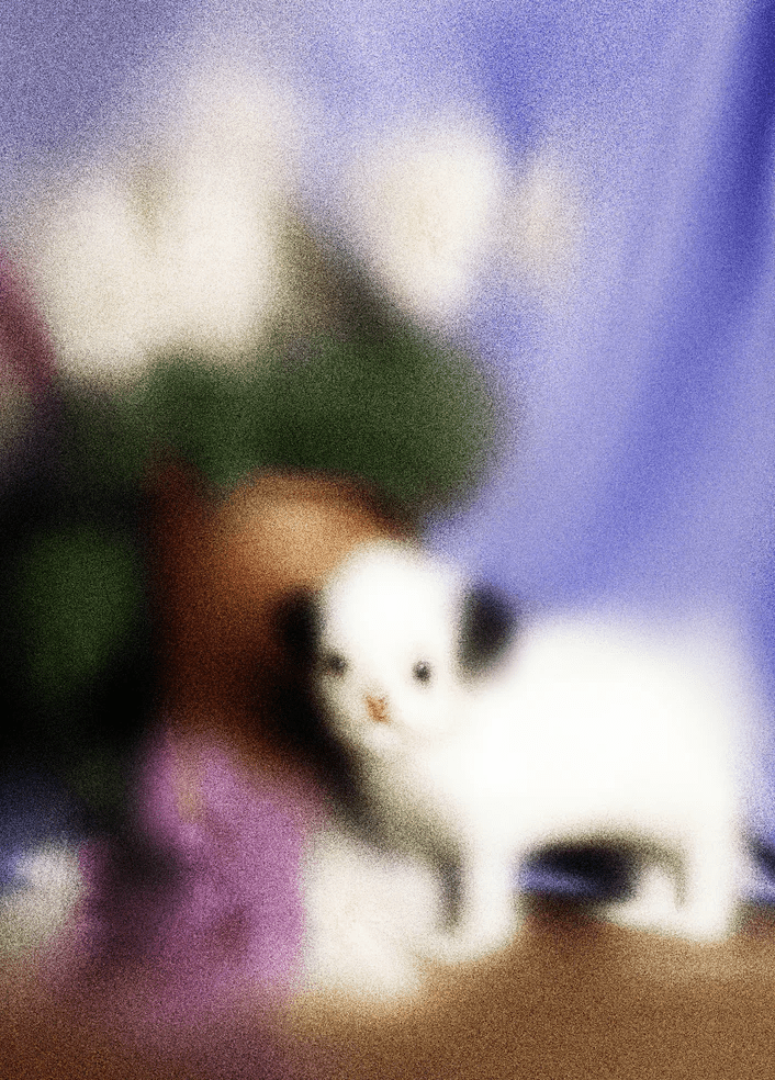 Affichette A3 Hortensio y sus Hortensias Belenabels - Ex - voto