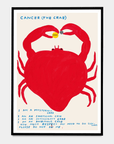 Affichette A5 Signs of the Zodiac D.Shrigley - Ex - voto
